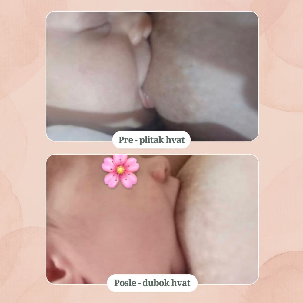 Plitak hvat